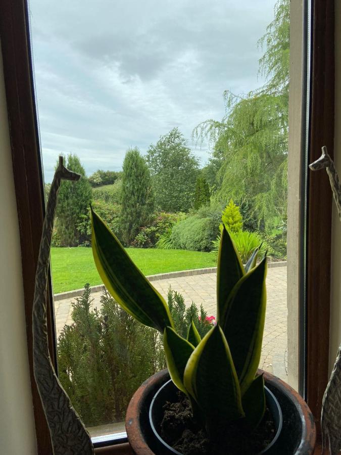 Corness House B&B Monaghan Εξωτερικό φωτογραφία